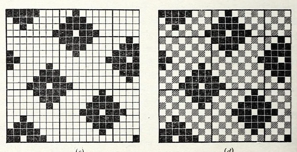 An illustration from Glossary of weaves, elementary textile designing, analysis of cotton fabrics, analysis of woolen and worsted fabrics, twill weaves and derivatives, satin and other weaves, combination weaves, construction of spot weaves, weaves for backed cotton fabrics, woolen and worsted ply weaves, leno weaves, pile weaves, color in textile designing, designing in general, 1906, leaf 224