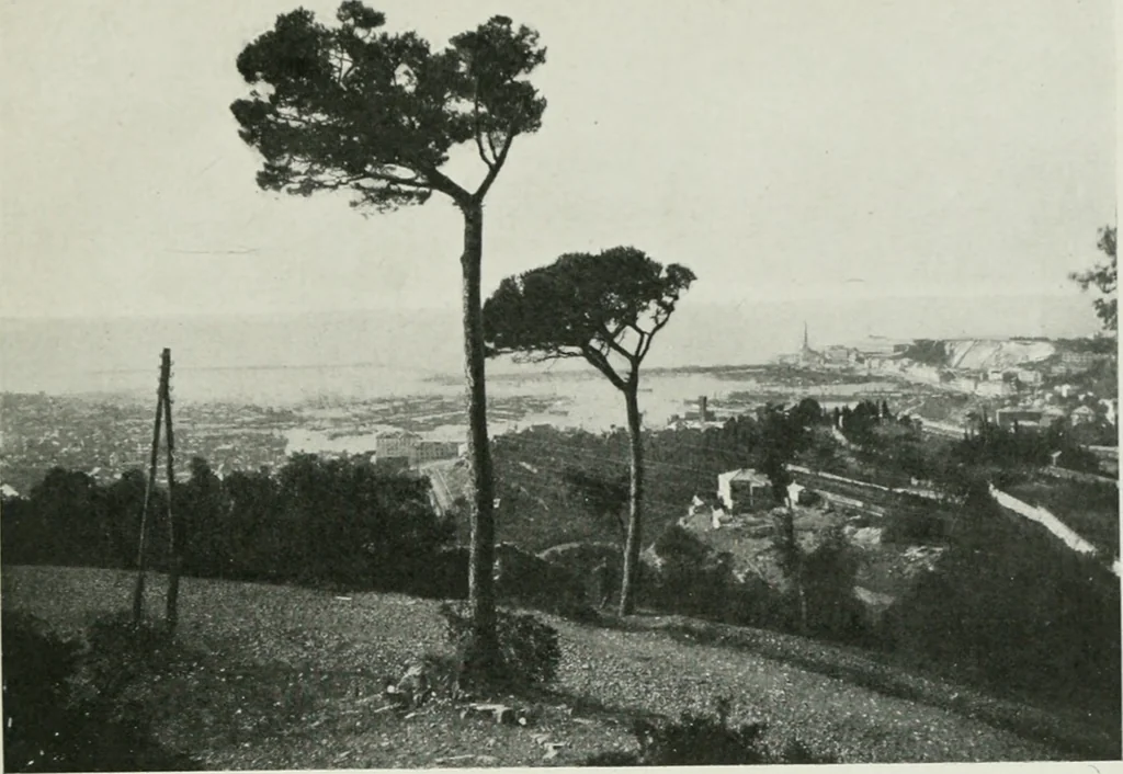 An illustration from Gènes, 1907, leaf 10