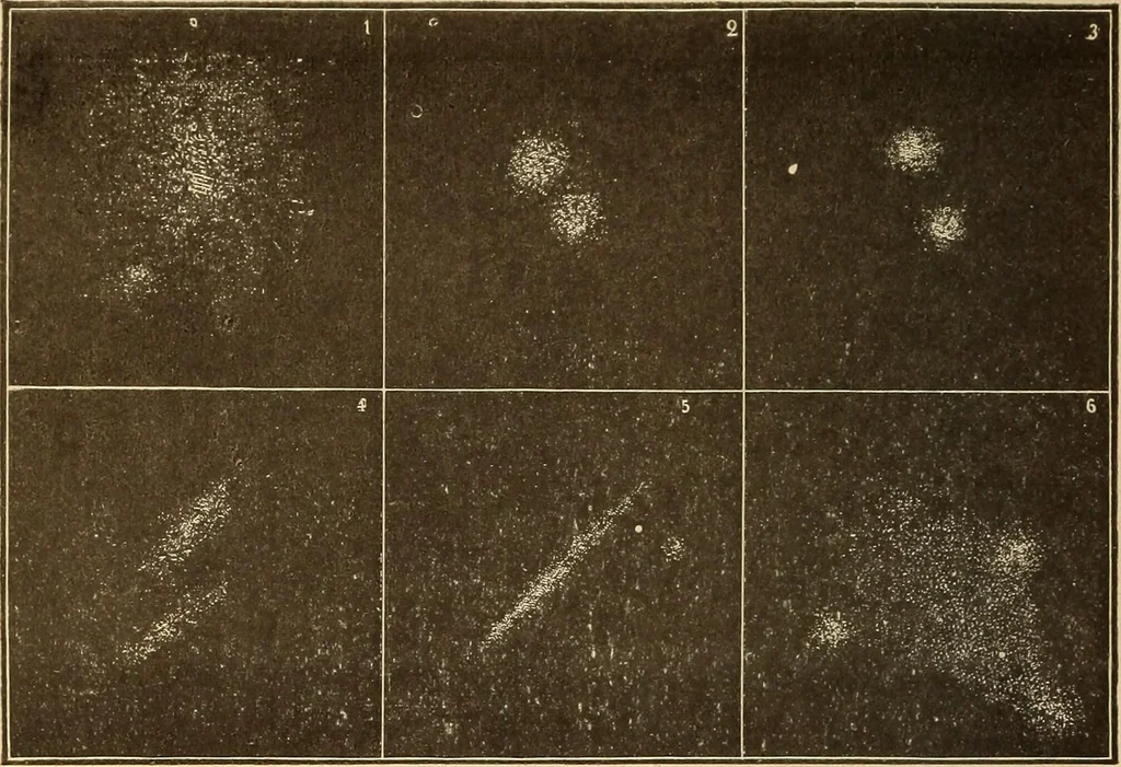 An illustration from The goal of life, or, Science and revelation, 1908, leaf 102