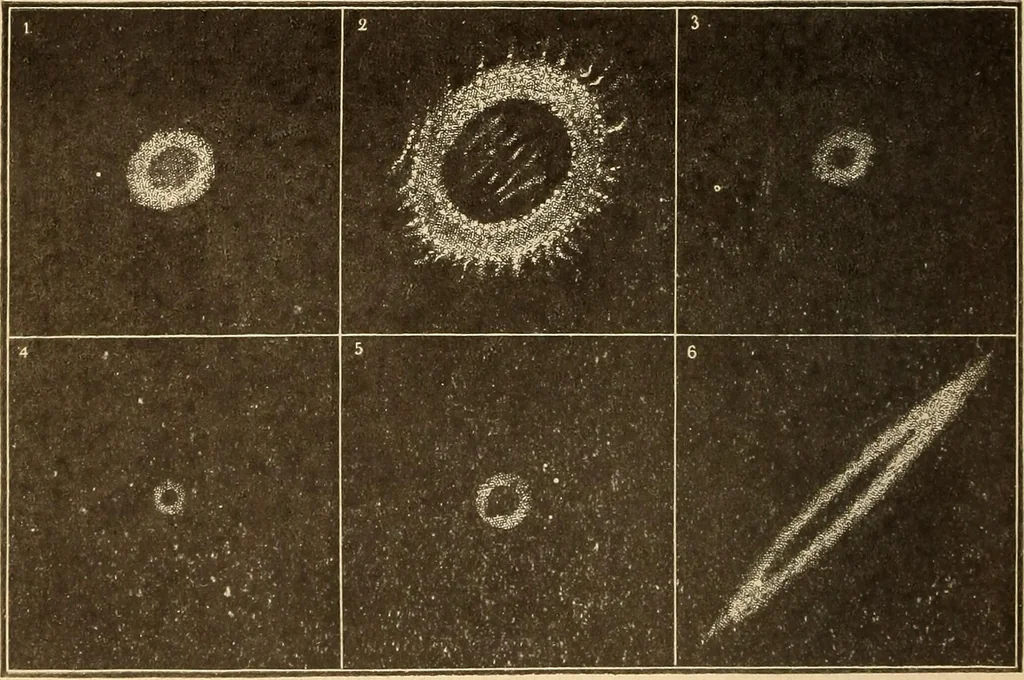 An illustration from The goal of life, or, Science and revelation, 1908, leaf 102
