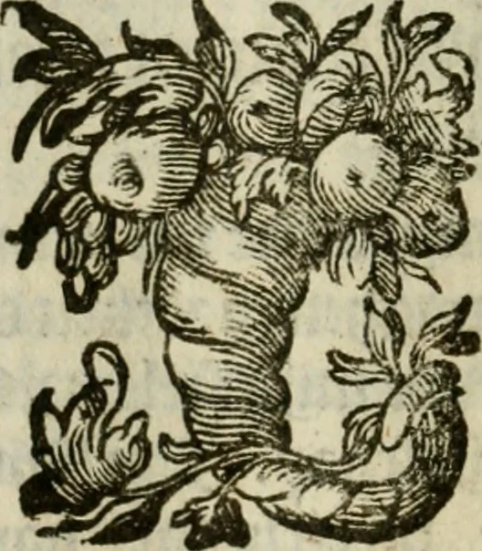 An illustration from Goddelycke wenschen : verlicht met sinne-beelden, ghedichten en vierighe uyt-spraecken der oud-vaeders, 1629, leaf 127