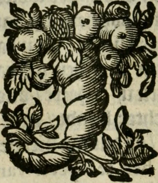 An illustration from Goddelycke wenschen : verlicht met sinne-beelden, ghedichten en vierighe uyt-spraecken der oud-vaeders, 1629, leaf 167
