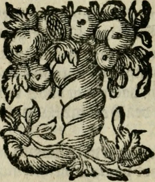 An illustration from Goddelycke wenschen : verlicht met sinne-beelden, ghedichten en vierighe uyt-spraecken der oud-vaeders, 1629, leaf 203