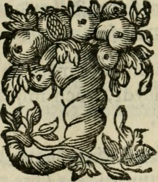 An illustration from Goddelycke wenschen : verlicht met sinne-beelden, ghedichten en vierighe uyt-spraecken der oud-vaeders, 1629, leaf 51