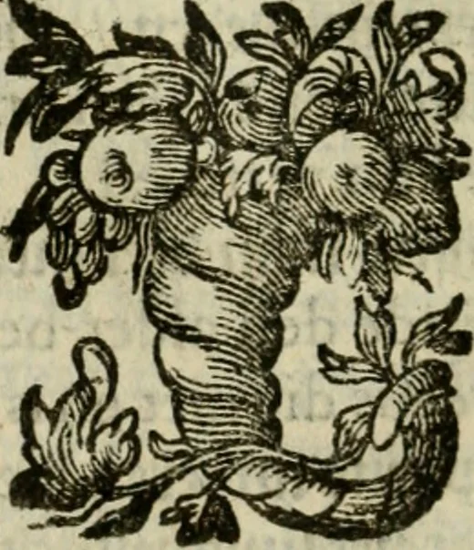 An illustration from Goddelycke wenschen : verlicht met sinne-beelden, ghedichten en vierighe uyt-spraecken der oud-vaeders, 1629, leaf 601