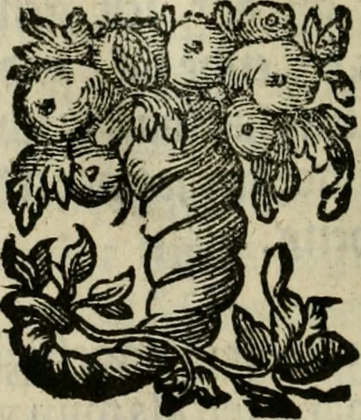 An illustration from Goddelycke wenschen : verlicht met sinne-beelden, ghedichten en vierighe uyt-spraecken der oud-vaeders, 1629, leaf 645