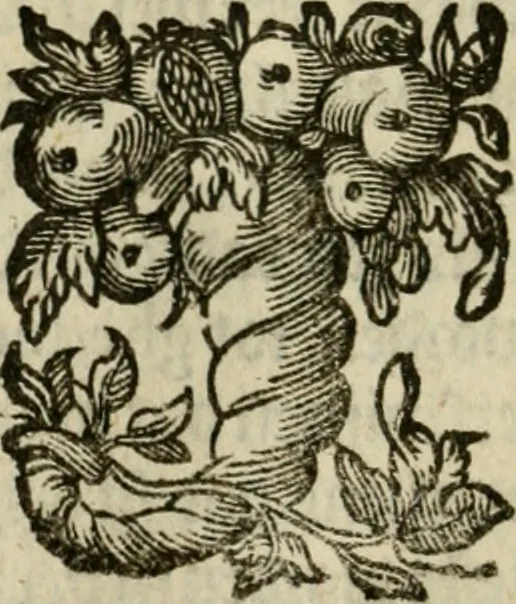An illustration from Goddelycke wenschen : verlicht met sinne-beelden, ghedichten en vierighe uyt-spraecken der oud-vaeders, 1629, leaf 83