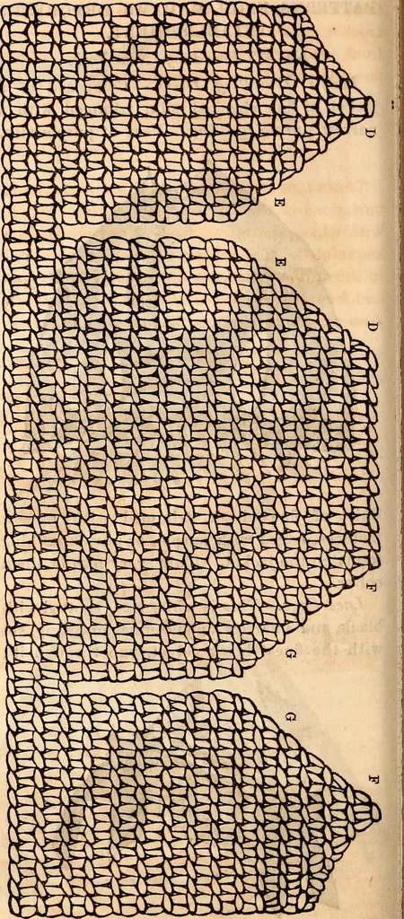 An illustration from Godey's lady's book, 1840, leaf 1018