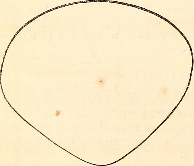 An illustration from Godey's lady's book, 1840, leaf 106