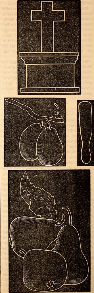 An illustration from Godey's lady's book, 1840, leaf 1118