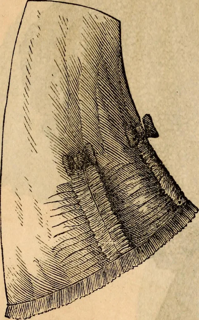 An illustration from Godey's lady's book, 1840, leaf 1121