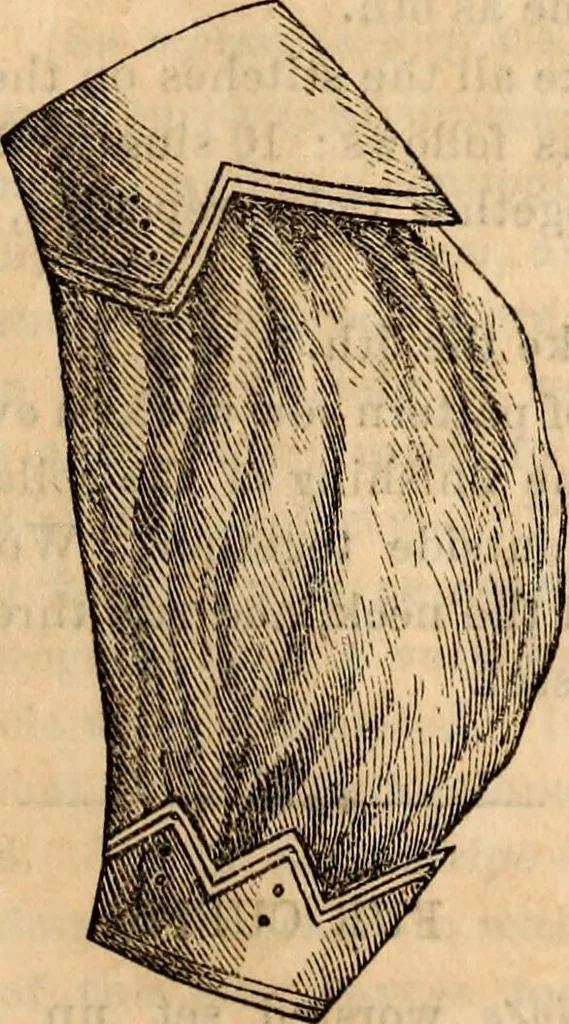An illustration from Godey's lady's book, 1840, leaf 1121