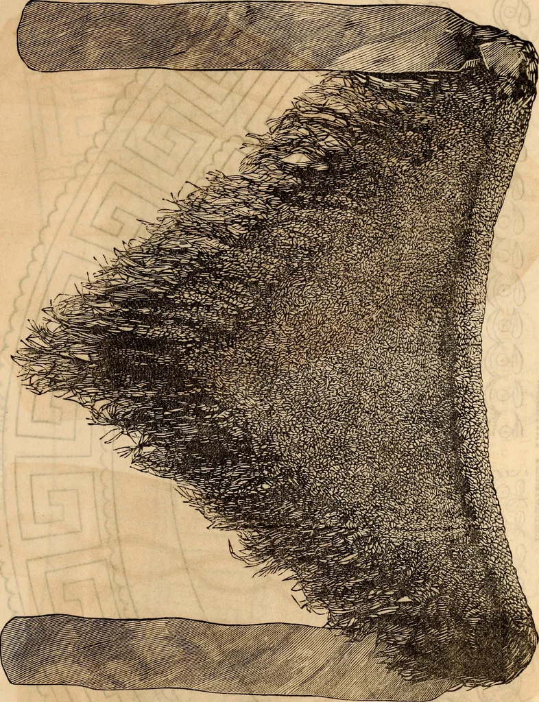 An illustration from Godey's lady's book, 1840, leaf 1167