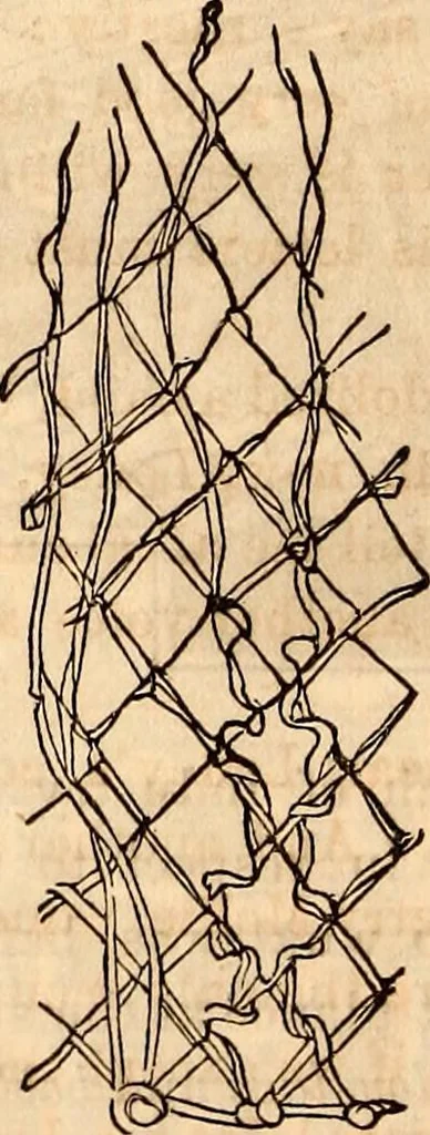 An illustration from Godey's lady's book, 1840, leaf 1176