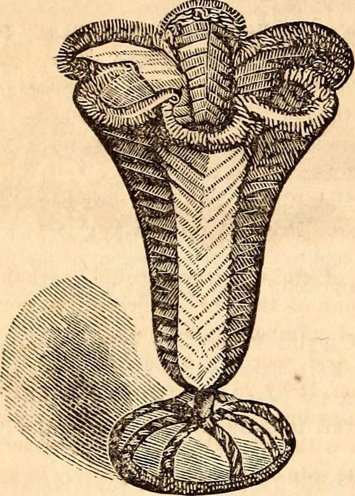 An illustration from Godey's lady's book, 1840, leaf 1244