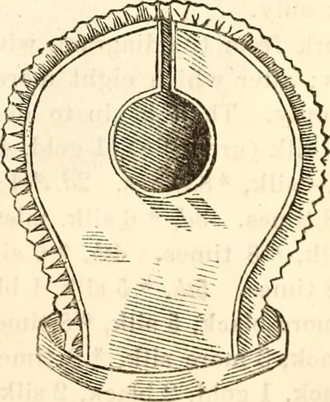 An illustration from Godey's lady's book, 1840, leaf 189