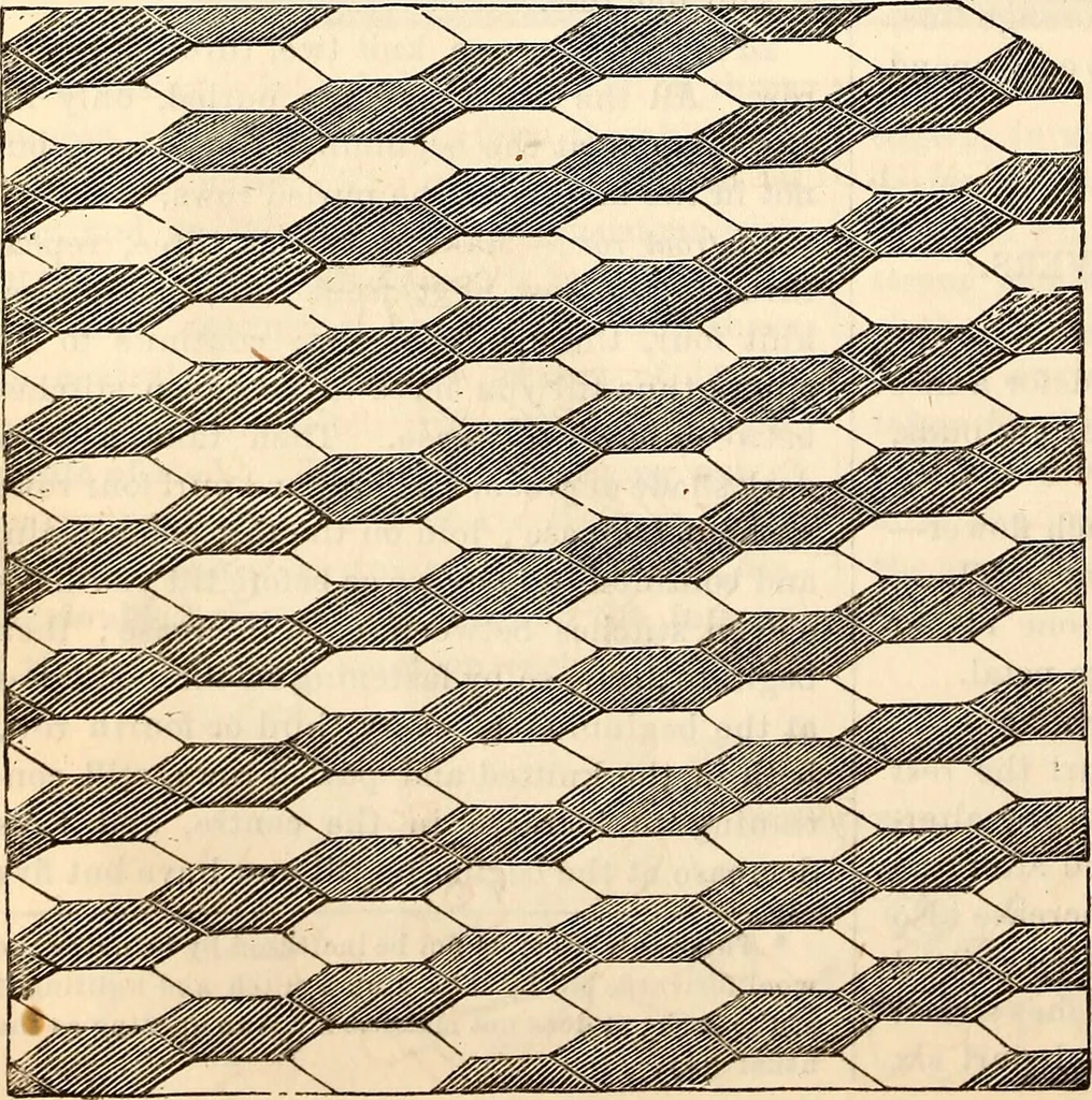 An illustration from Godey's lady's book, 1840, leaf 196