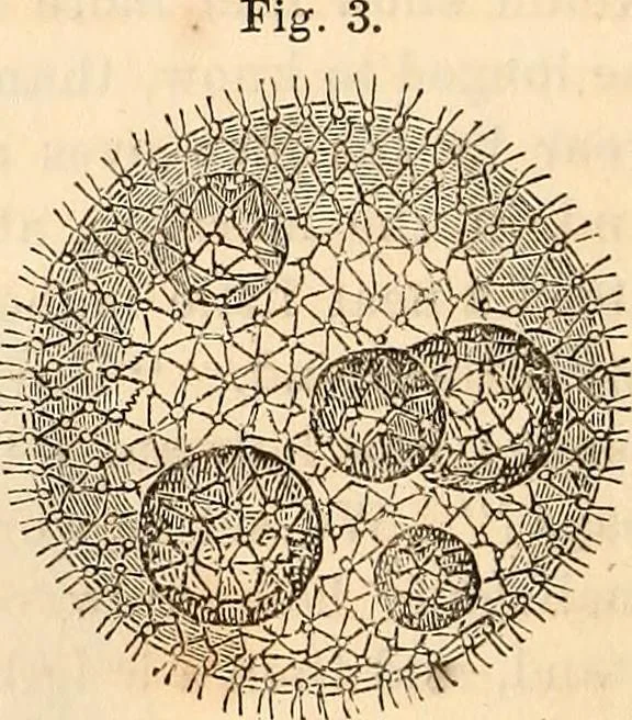 An illustration from Godey's lady's book, 1840, leaf 236