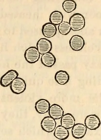 An illustration from Godey's lady's book, 1840, leaf 239