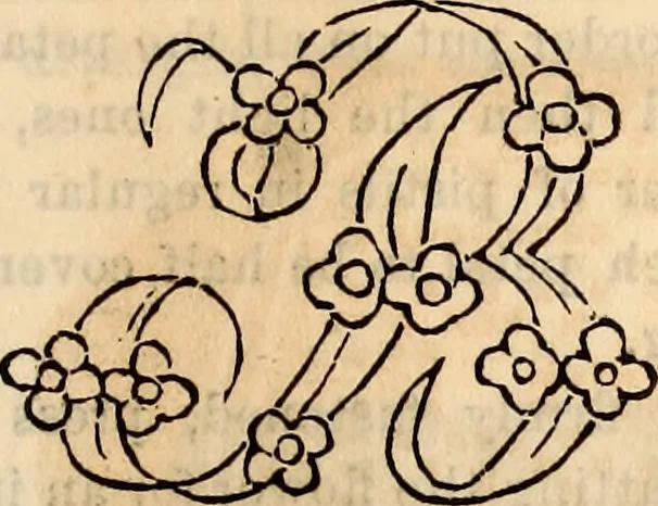 An illustration from Godey's lady's book, 1840, leaf 293