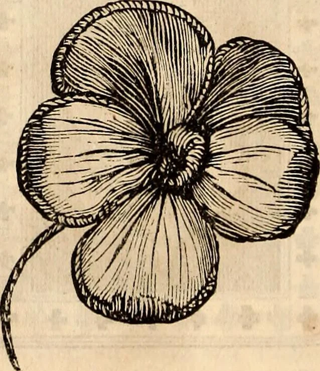 An illustration from Godey's lady's book, 1840, leaf 294