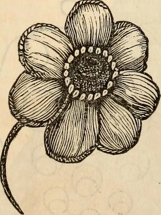 An illustration from Godey's lady's book, 1840, leaf 403