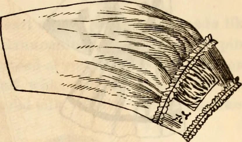 An illustration from Godey's lady's book, 1840, leaf 505