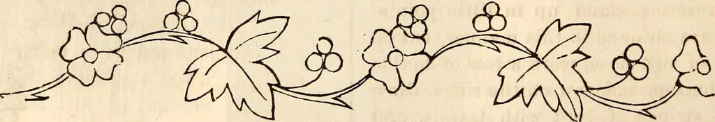 An illustration from Godey's lady's book, 1840, leaf 510