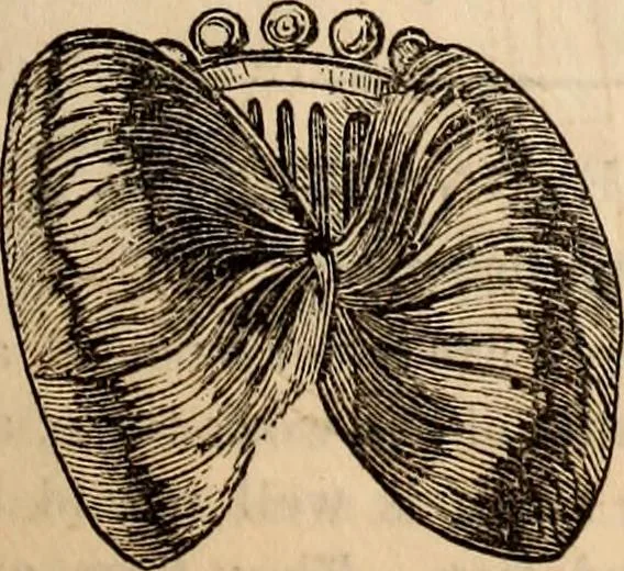 An illustration from Godey's lady's book, 1840, leaf 607