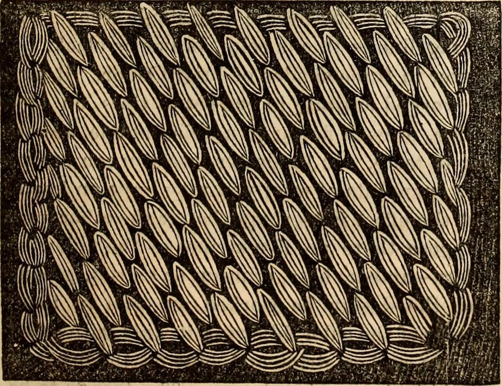 An illustration from Godey's lady's book, 1840, leaf 611