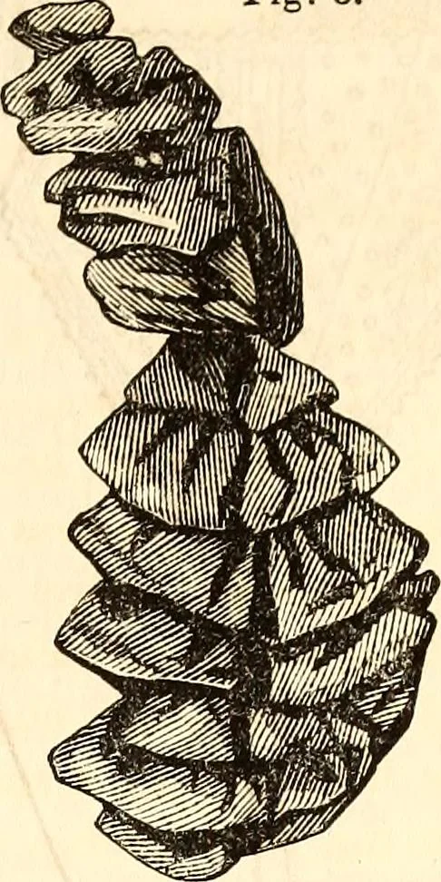 An illustration from Godey's lady's book, 1840, leaf 81