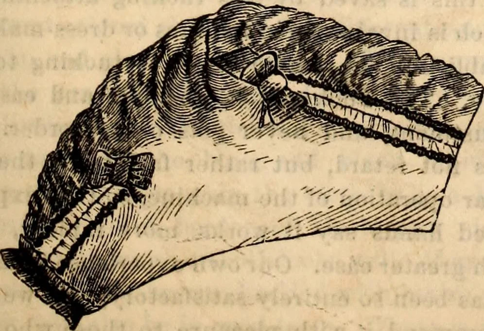 An illustration from Godey's lady's book, 1840, leaf 815