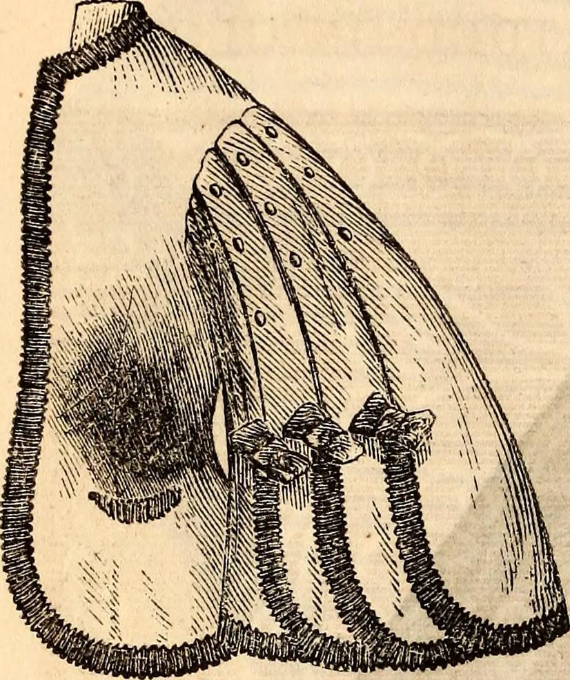 An illustration from Godey's lady's book, 1840, leaf 816