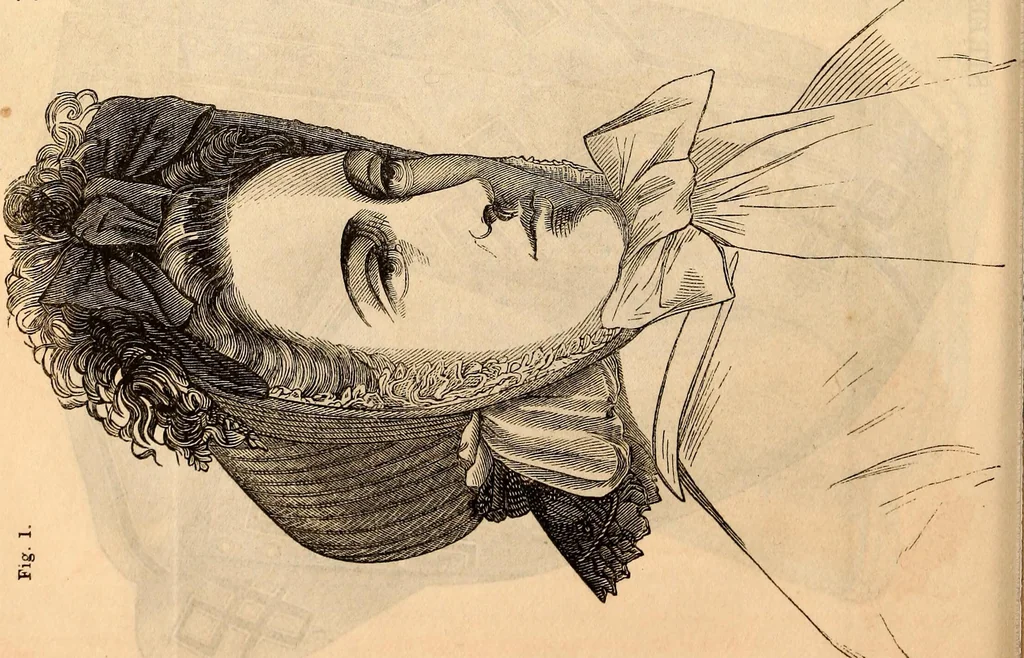 An illustration from Godey's lady's book, 1840, leaf 854