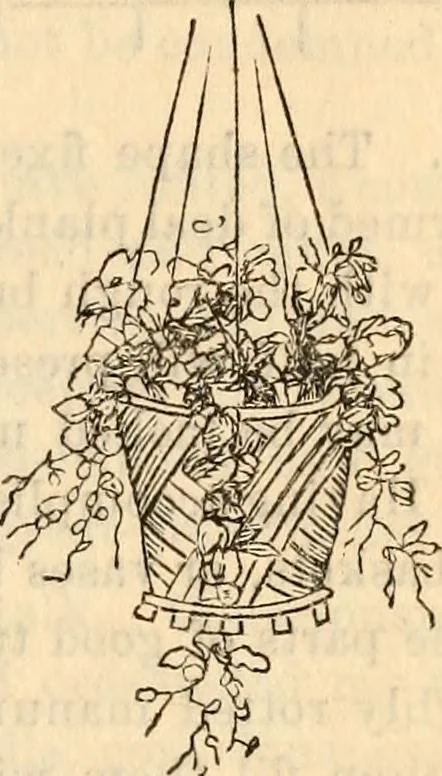 An illustration from Godey's lady's book, 1840, leaf 891