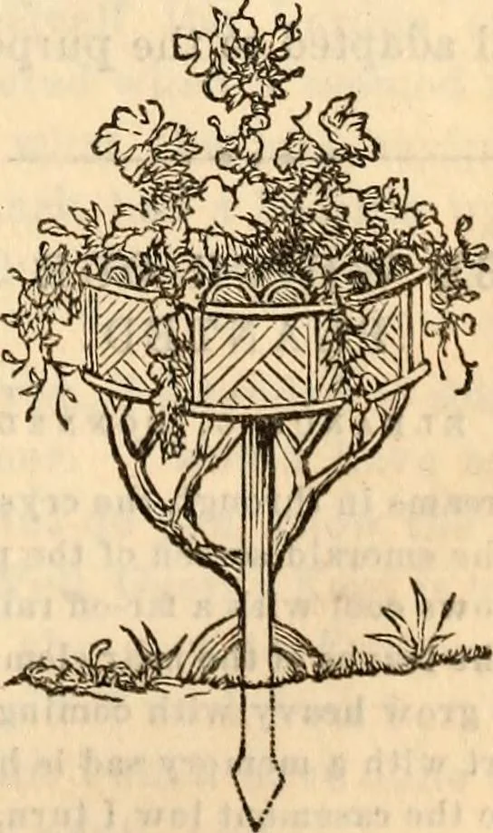 An illustration from Godey's lady's book, 1840, leaf 891