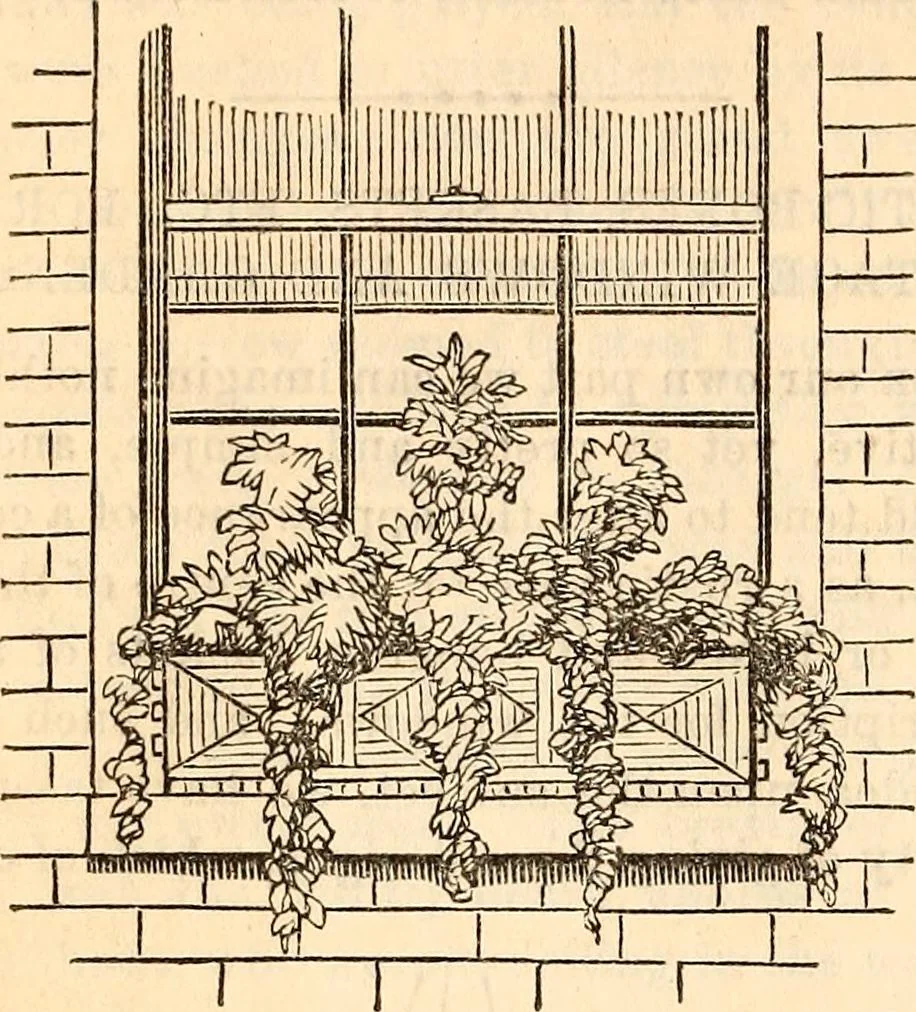 An illustration from Godey's lady's book, 1840, leaf 892