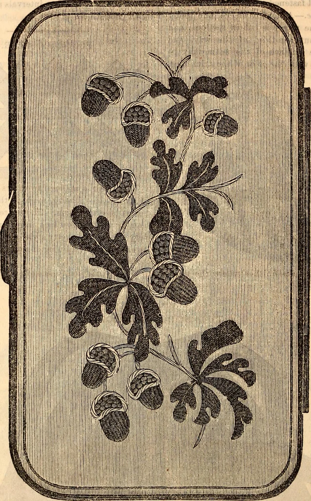An illustration from Godey's lady's book, 1840, leaf 916