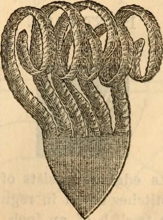 An illustration from Godey's lady's book, 1840, leaf 921
