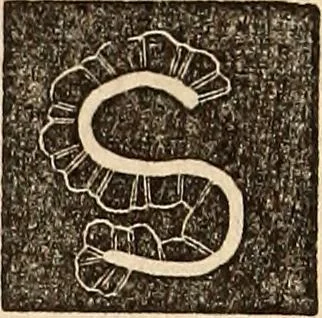 An illustration from Godey's lady's book, 1840, leaf 922