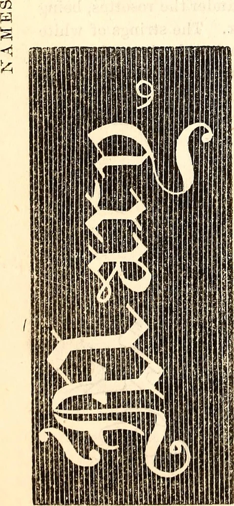 An illustration from Godey's lady's book, 1840, leaf 1059
