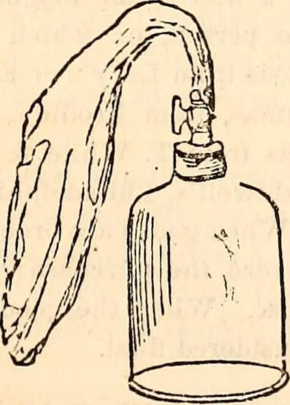 An illustration from Godey's lady's book, 1840, leaf 1174