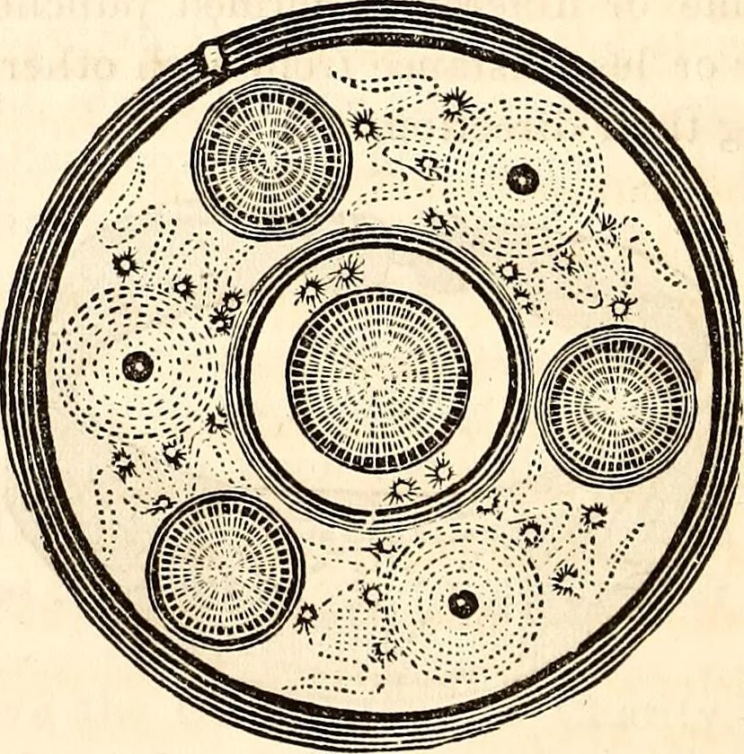 An illustration from Godey's lady's book, 1840, leaf 221