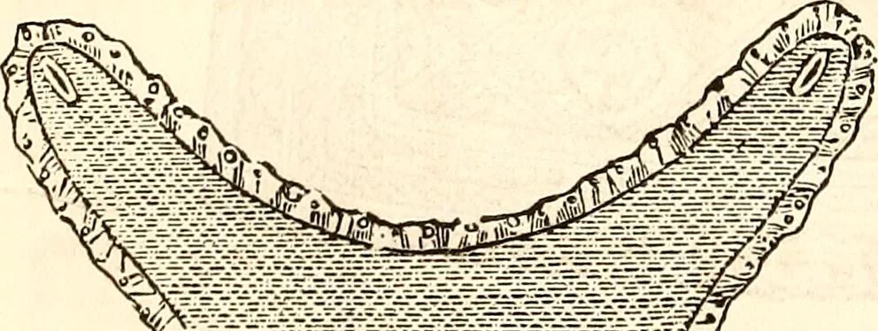 An illustration from Godey's lady's book, 1840, leaf 255