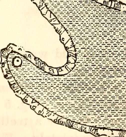An illustration from Godey's lady's book, 1840, leaf 255