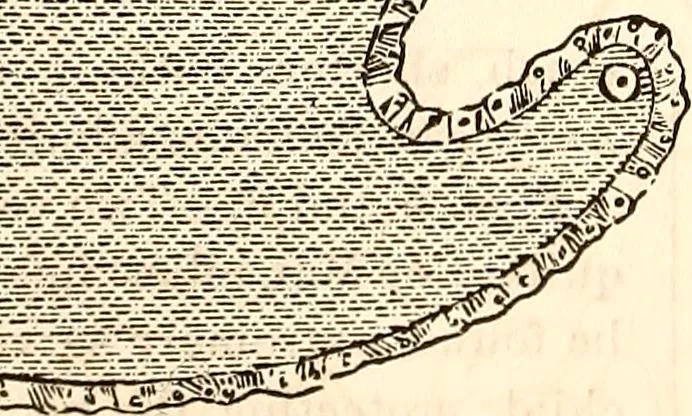 An illustration from Godey's lady's book, 1840, leaf 255
