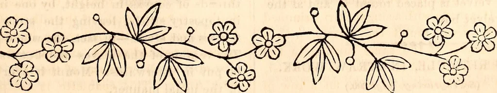 An illustration from Godey's lady's book, 1840, leaf 258