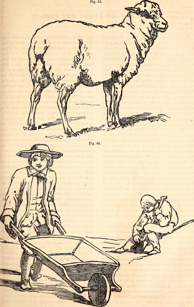 An illustration from Godey's lady's book, 1840, leaf 320