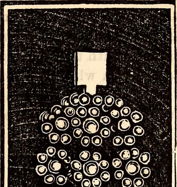 An illustration from Godey's lady's book, 1840, leaf 442