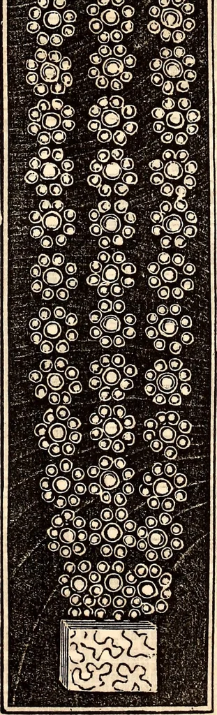An illustration from Godey's lady's book, 1840, leaf 442